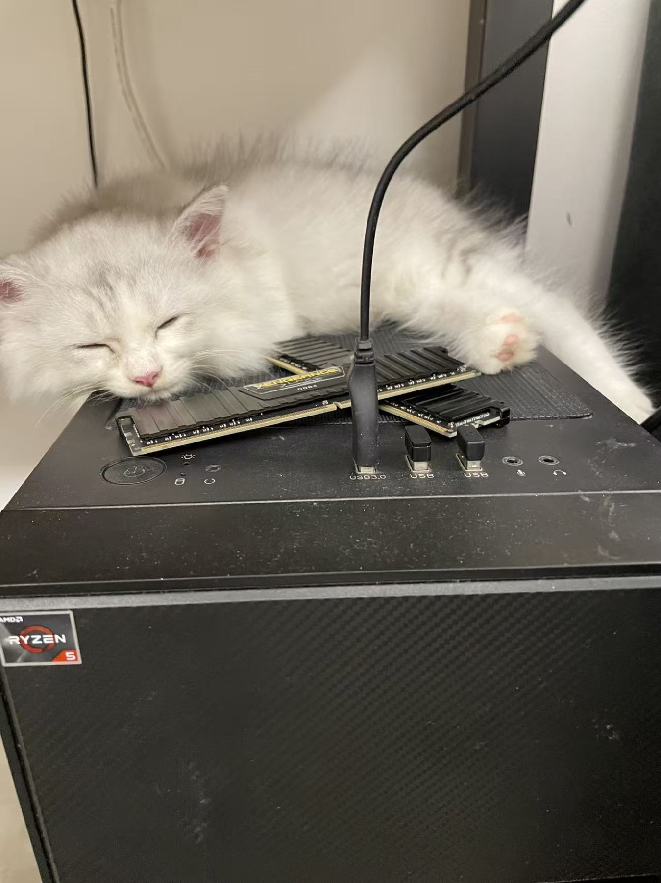 八八猫趴在电脑机箱上睡觉